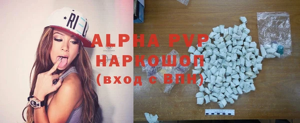 сатива Новокубанск