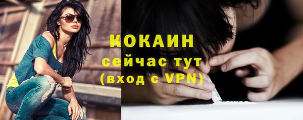 дмт Новозыбков