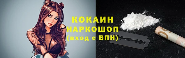 дмт Новозыбков