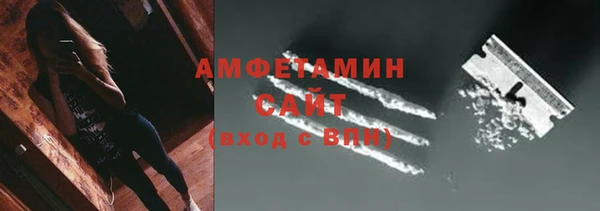 сатива Новокубанск