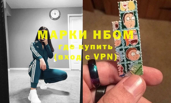 сатива Новокубанск