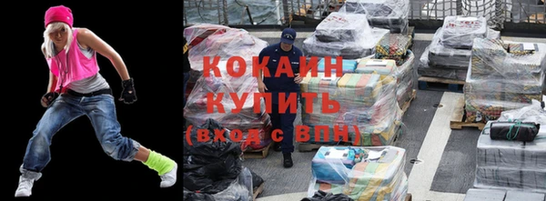 дживик Новодвинск