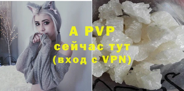 дживик Новодвинск