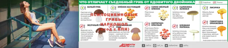 Псилоцибиновые грибы Psilocybine cubensis  МЕГА   Соликамск 